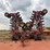 2011-bourgault-3310-75-image-2