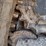 bobcat-t770-image-26
