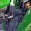 john-deere-4320-image-13