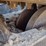 bobcat-t770-image-28