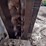 bobcat-mt100-image-11