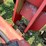 case-ih-5000-image-17