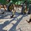1998-john-deere-980-image-5