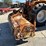 case-ih-4240-image-8