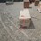 #l77-011-•-sdlanch-12'x20'-high-end-carport-[damaged]-image-5