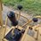 caterpillar-939c-image-9