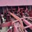 new-holland-320-image-21
