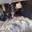 polaris-ranger-900-crew-image-18