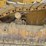1990-caterpillar-d5h-lgp-image-14