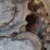 bobcat-t770-image-15