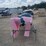 #l77-003-•-2026-iret13-electric-tricycle-image-4