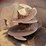 2012-nde-2656-image-7