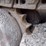 deere-455g-image-25