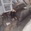 international-durastar-4300-image-9