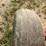 ez-trail-230-image-33