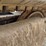 bobcat-e32-image-29