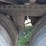 2019-carrier-x4-7300-image-8