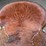 longhorn-saddle-image-13