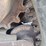 bobcat-t180-image-13