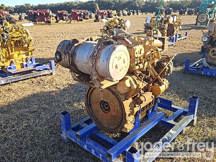 cat-3.8b-image-5