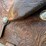 longhorn-saddle-image-9