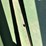 john-deere-9350-image-27