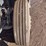 international-prostar-image-20