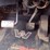 2005-western-star-4900fa-image-12