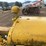 caterpillar-fifteen-image-39