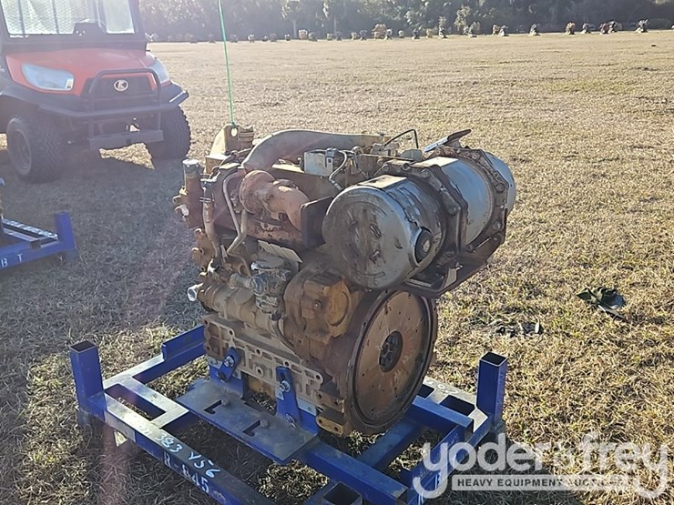 cat-3.8b-image-4