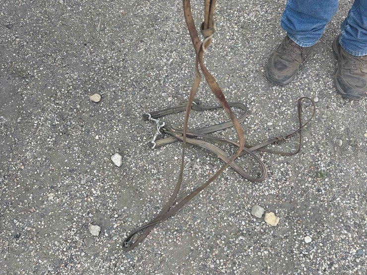 horse-tack-image-19