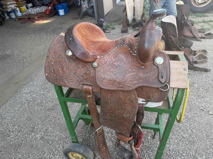 longhorn-saddle-image-1