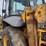 jcb-3cx14-image-16