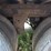 2019-carrier-x4-7300-image-9