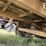 pinto-hitch-trailer-image-40
