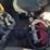international-prostar-image-13