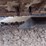caterpillar-308c-cr-image-16