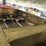 pinto-hitch-trailer-image-34