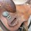 circle-y-brand-saddle-image-12