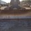 case-850m-image-21