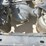 2015-kenworth-t800-image-21