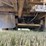 pinto-hitch-trailer-image-17