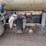 international-durastar-4400-image-18
