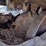bobcat-t770-image-24