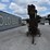 us-standard-corn-husker-46447-image-9