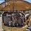 caterpillar-303-image-29