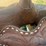 longhorn-saddle-image-8