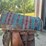 horse-tack-image-5