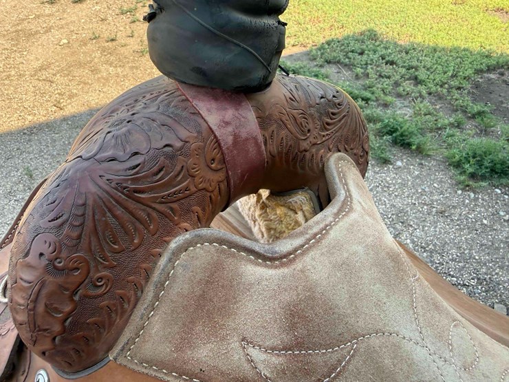 circle-y-brand-saddle-image-15