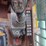 takeuchi-tl8-image-8